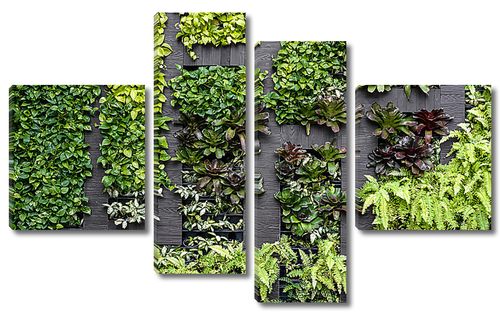Стена из вьющихся растений
