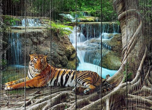 Шикарный тигр лежит у водопада