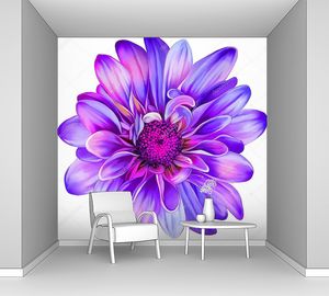 Фиолетовый цветок хризантемы
