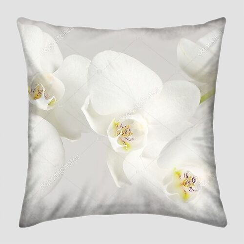 Макро белых орхидей на светлом фоне