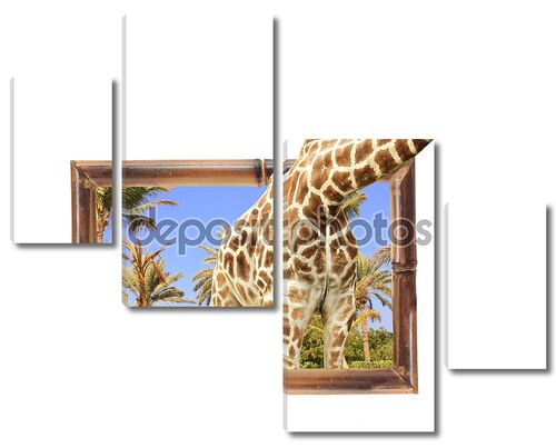 Giraffe in bamboo frame with 3d effect