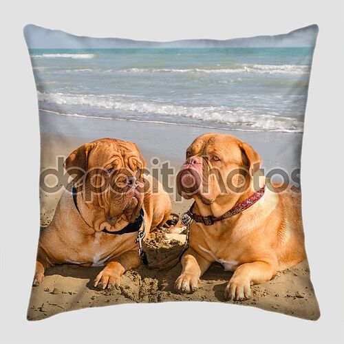 Две расслабленной собаки, лежа на пляже