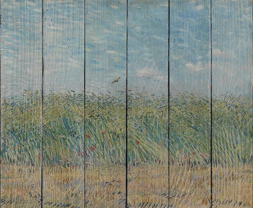 Пшеничное поле с куропаткой