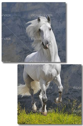 Белая лошадь в горах
