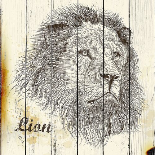 руки drawn Векторный портрет льва в винтажном стиле