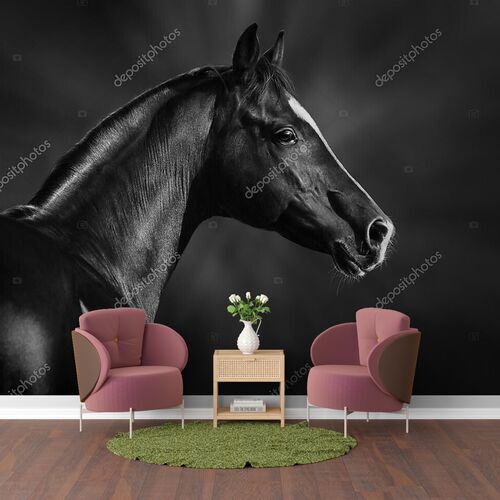 Портрет черной арабской лошади