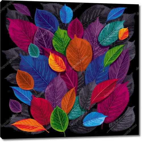 Разноцветные осенние листья на черном фоне