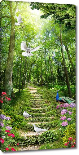 Павлин и голуби на дорожке в лесу