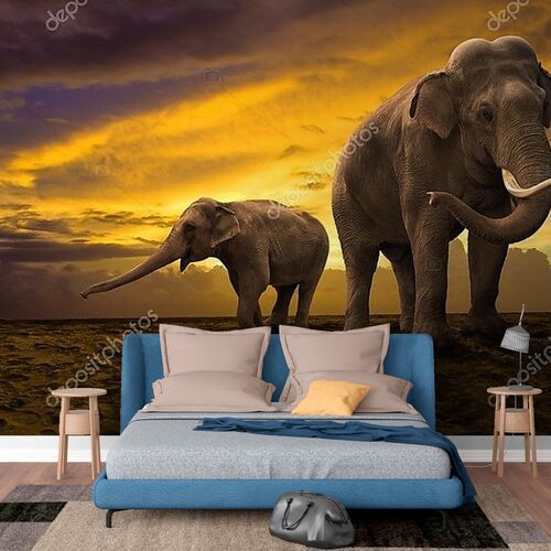 Семья слонов на фоне заката