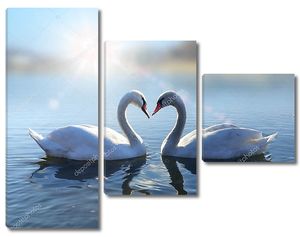 Лебеди на голубое озеро воды в Солнечный день