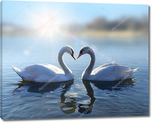 Лебеди на голубое озеро воды в Солнечный день