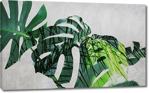 Абстракция из пальмовых листьев