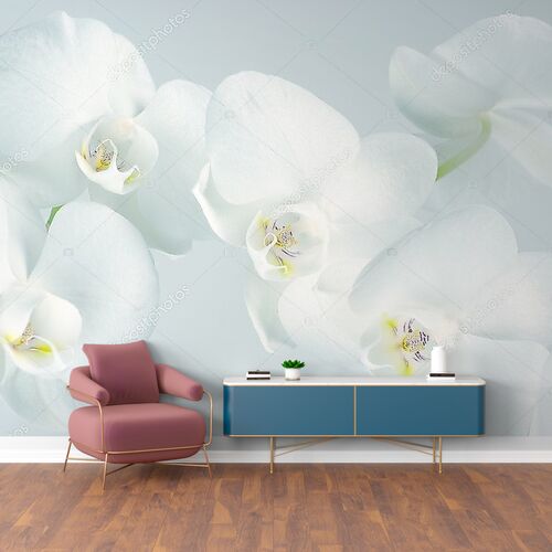 Орхидеи крупным планом