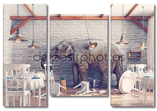 Слон в ресторан