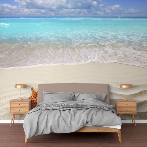 Карибский тропический пляж белого песка звезды оболочка