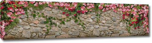 Цветы на каменной стене