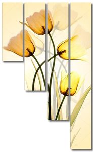 Желтые тюльпаны полупрозрачные