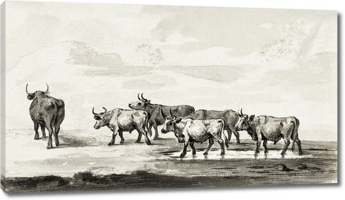 Группа из шести быков