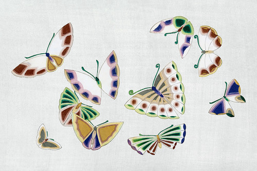 Иллюстрация III из книги Тысяча бабочек